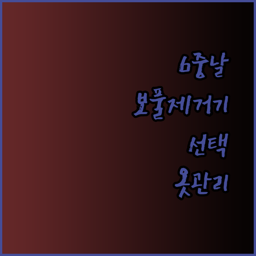 6중날 보풀제거기 선택? 옷 관리의 새로운 기준을 만나보세요