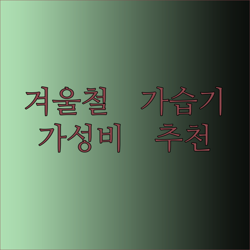 건조한 겨울철 가습기 고민 해결 가성비와 성능 모두 잡은 제품은?