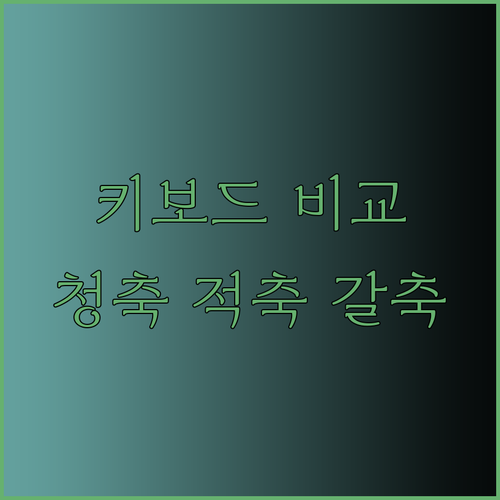 지클릭커 키보드 청축 적축 갈축 비교분석 완벽 가이드