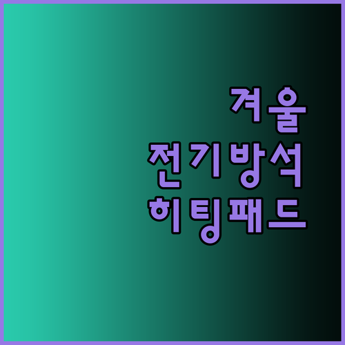 겨울철 필수템 전기방석 히팅패드 어떤 제품이 좋을까요?