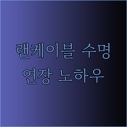 랜케이블 관리의 모든 것 수명 연장 노하우를 공개합니다