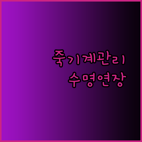 죽 기계 관리의 모든 것! 청소부터 수명 연장까지 알아보자