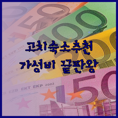 고치 여행 준비 끝? 최고의 숙소는 어디? 베스트 프라이스 고치 vs 컴포트 호텔 고치 vs JR 클레멘트 인 고치