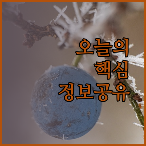 오사카 난바 숙소 3곳 상세 비교 후기 꼼꼼하게 확인하고 예약하세요