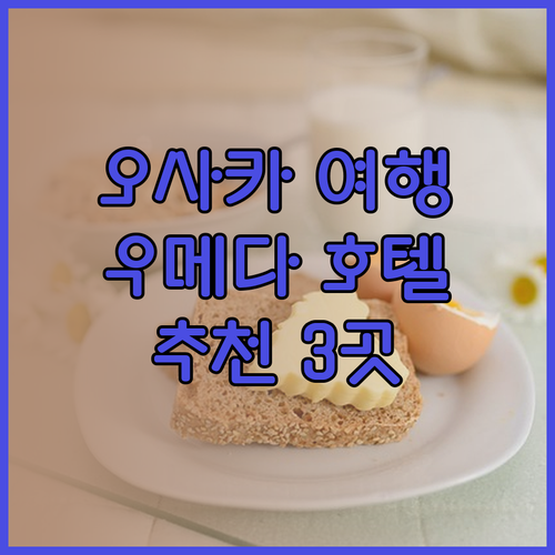 오사카 여행 계획 중이라면 주목 우메다 호텔 3곳 후기와 함께 알아보기