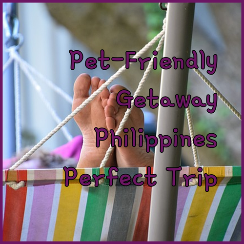 Finding the Perfect Pet-Friendly Getaway in the Philippines