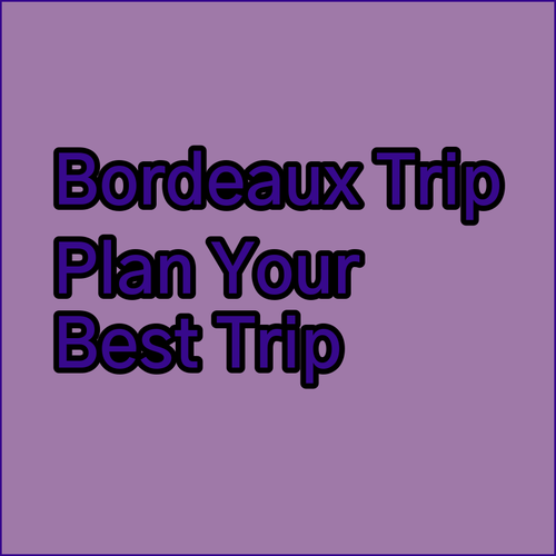 Planning a Trip to Bordeaux Which Hotel Suits You Best