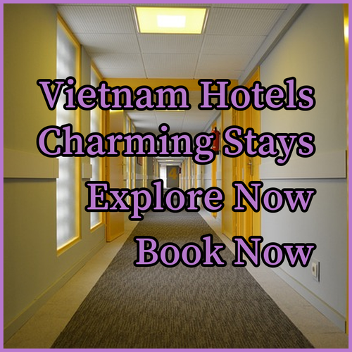 Uncover Tranquility! Three Charming Vietnamese Hotels to Explore!