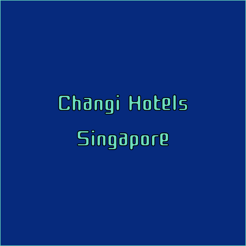 Singapore Changi Airport Hotels.. Find Your Perfect Pre or Post-Flight Accommodation?