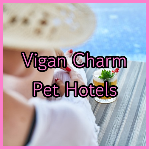 Discover Vigan's Charm.. A Guide to Hotels with Pet Policies