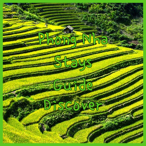 Phong Nha Accommodation Guide Discover Your Perfect Stay