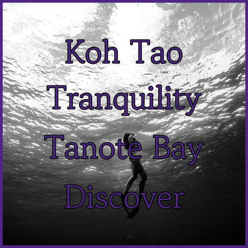 Lub d Koh Tao.. Discover Tranquility in Tanote Bay..