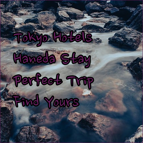 Tokyo Hotels Near Haneda Airport? Find Your Perfect Stay!