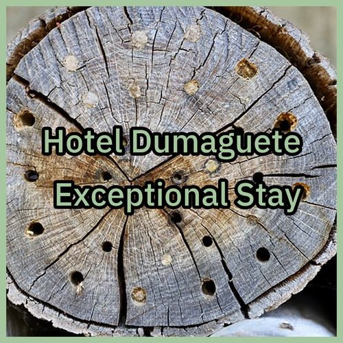Experience Hotel Dumaguete! Exceptional Staff and Clean Rooms