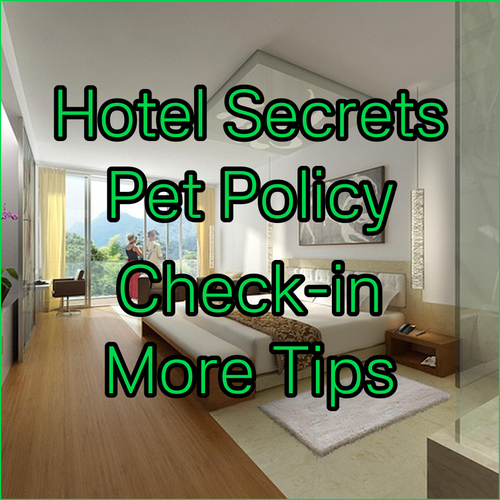 Unveiling Fort Myers Hotel Secrets Check-in Times Pet Policies and More