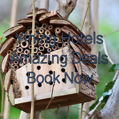 Discover Yining.. Top Hotels and Amazing Deals?