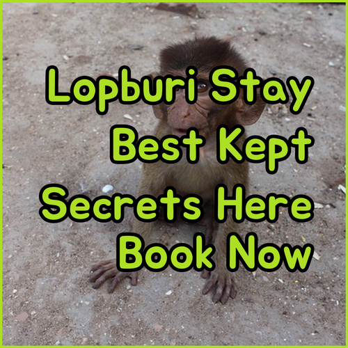The Best Kept Secrets of Lopburi Accommodation..?