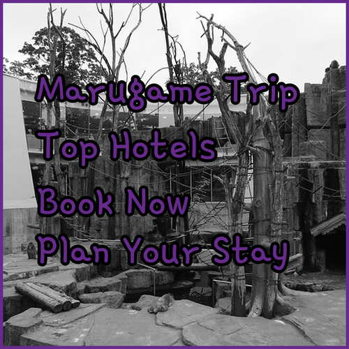 Planning a Trip to Marugame? Top Hotel Recommendations!