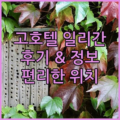 고 호텔 일리간 후기와 함께 알아보는 편리한 위치와 숙박 정보? 고 호텔 일리간 후기와 함께 알아보는 편리한 위치와 숙박 정보?