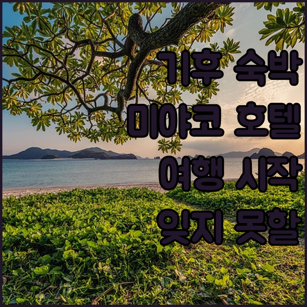 기후 미야코 호텔 숙박 후기! 잊지 못할 기후 여행의 시작!