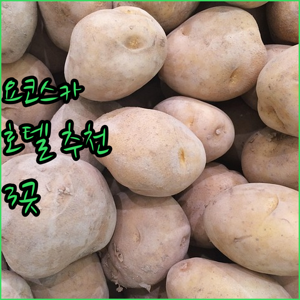 가나가와 현 요코스카 호텔 추천! 여행 전문가가 엄선한 숙소 3곳