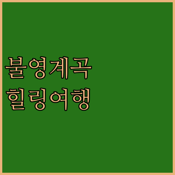 울진 불영계곡의 숨겨진 보석, 금강송하늘펜션! 자연 속 힐링 여행을 떠나요