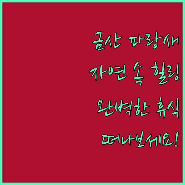 금산 파랑새펜션.. 자연 속에서의 완벽한 휴식! 지금 바로 떠나보세요!