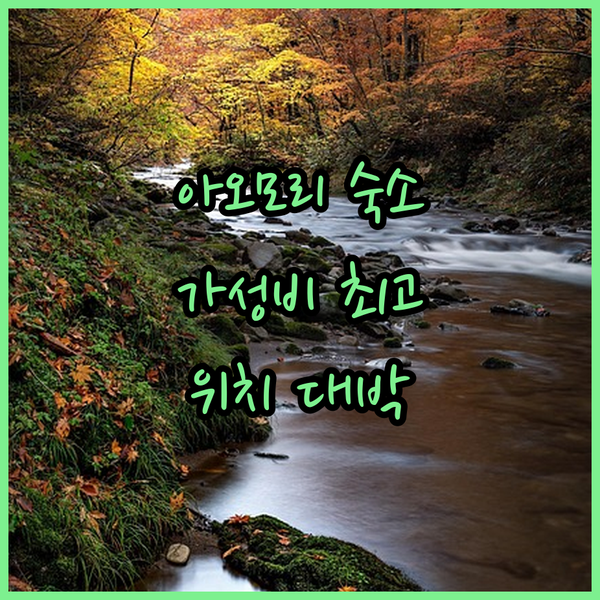 아오모리 리치몬드 호텔 숙박 후기 가성비와 위치, 두 마리 토끼를 잡다