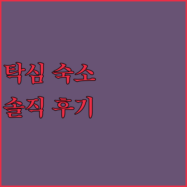 이스탄불 여행객 필독 레몬 레지던스 탁심 숙소 생생 후기