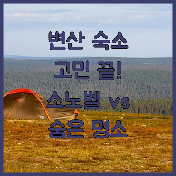 변산반도 숙소 고민 끝! 소노벨 변산 vs 숨겨진 명소