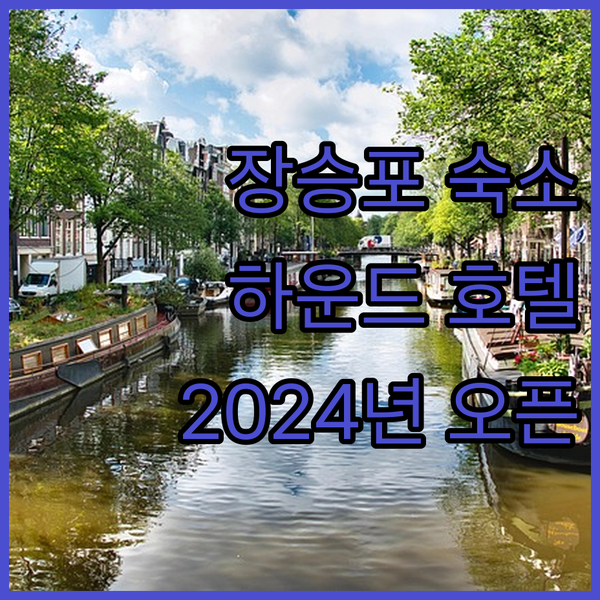 장승포 필수 숙소! 하운드호텔 장승포점, 2024년 오픈 호텔의 특별함!