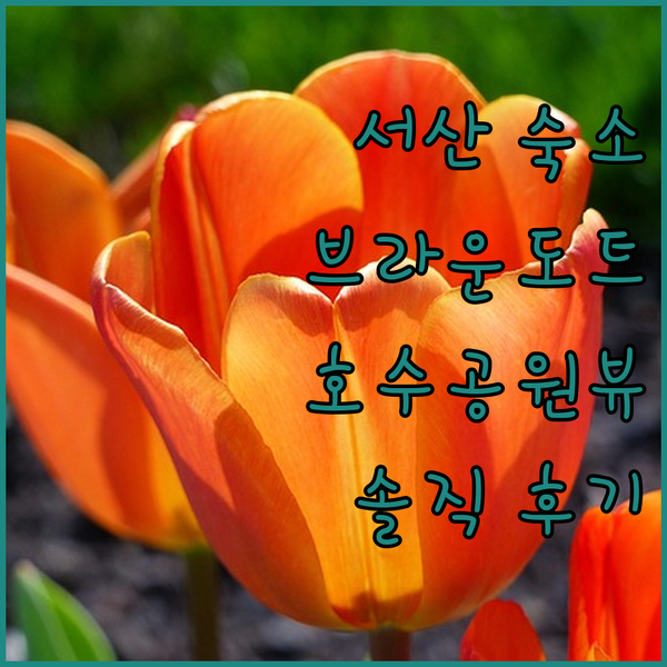 서산 브라운도트 호텔 솔직 후기 호수공원 인접 깨끗함과 편리함!