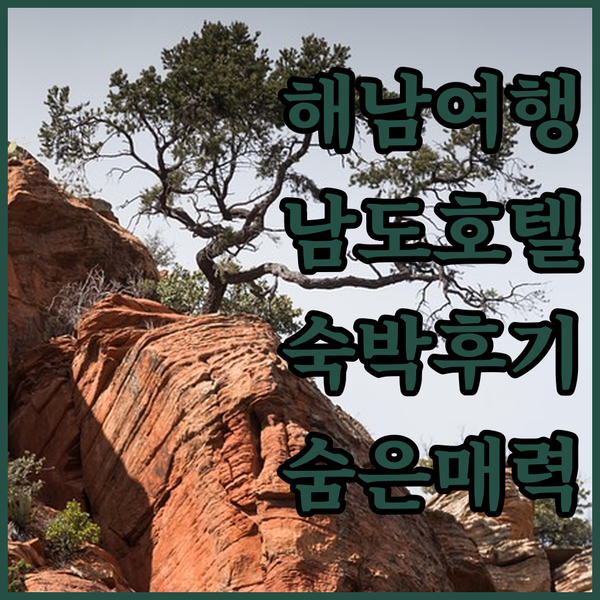 해남 여행객 필독 남도호텔 숙박 후기, 숨겨진 매력을 파헤치다