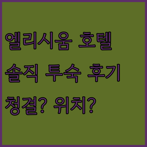 엘리시움 호텔 실제 투숙객 후기! 청결함과 편리함, 솔직한 평가는?