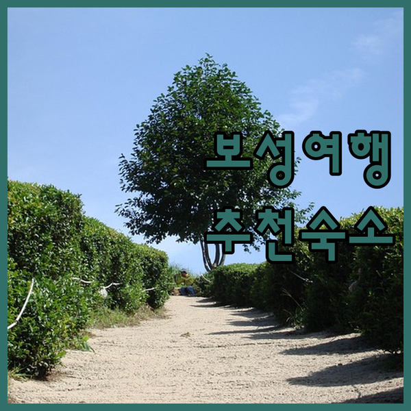 보성 가족 여행에 딱 맞는 숙소 추천 보성녹차리조트에서의 특별한 추억 만들기