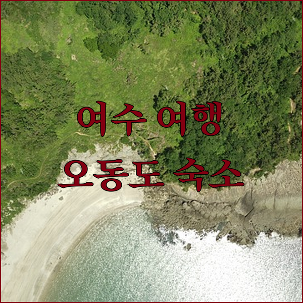 여수 여행객 필독! 오동도 인근 가성비 호텔 Top 3 추천
