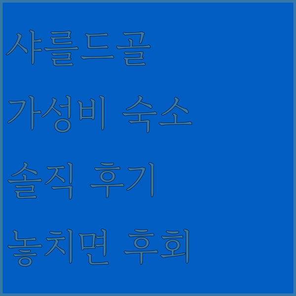 파리 샤를드골 공항 근처 가성비 숙소 B&B 호텔 솔직 후기! 놓치면 후회!