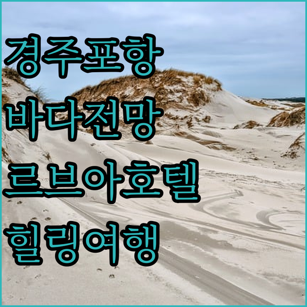 경주와 포항 사이, 르브아 호텔에서 즐기는 환상적인 바다 전망!