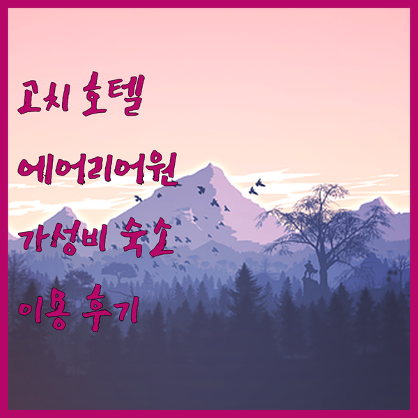 고치 호텔 에어리어원 가성비 숙소 생생한 이용 후기