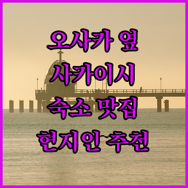 숨겨진 오사카의 보석, 사카이! 💎 현지인이 추천하는 숙소와 맛집 탐험!