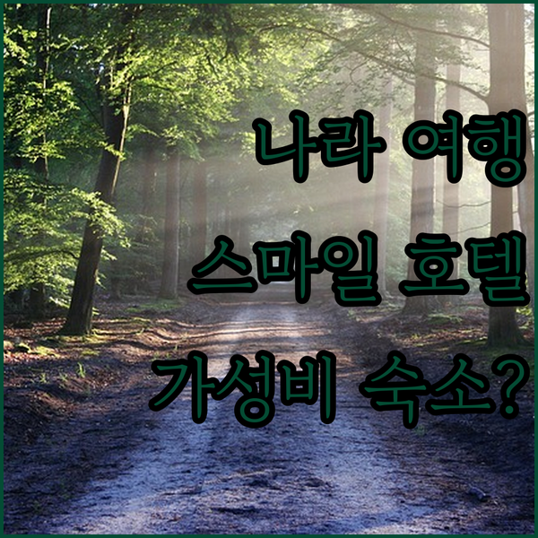 나라 여행객 필독! 스마일 호텔 나라, 나라 공원 근처 가성비 숙소일까?
