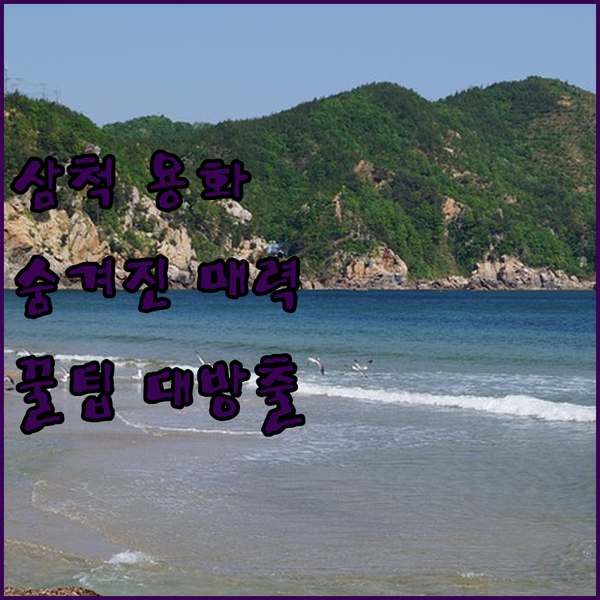 삼척 용화해변펜션 완벽 분석! 숨겨진 매력과 이용 꿀팁 대방출