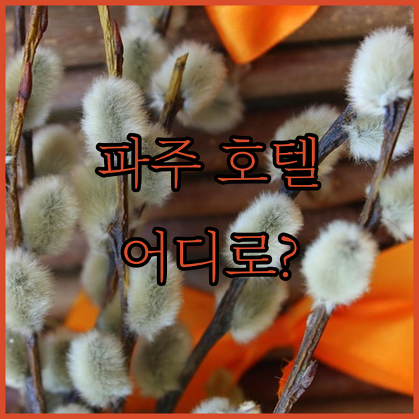 파주 호텔 완벽 분석! 호텔 시에나, 케이힐스, 소도 호텔 어디로 떠날까? [도시 이름, 특정 장소 이름 포함]
