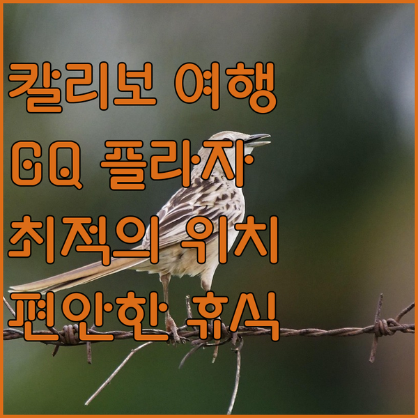 칼리보 여행의 시작, GQ 플라자에서 편안한 휴식을! 칼리보 플라자 바로 앞에 위치! 칼리보 여행의 시작, GQ 플라자에서 편안한 휴식을! 칼리보 플라자 바로 앞에 위치!