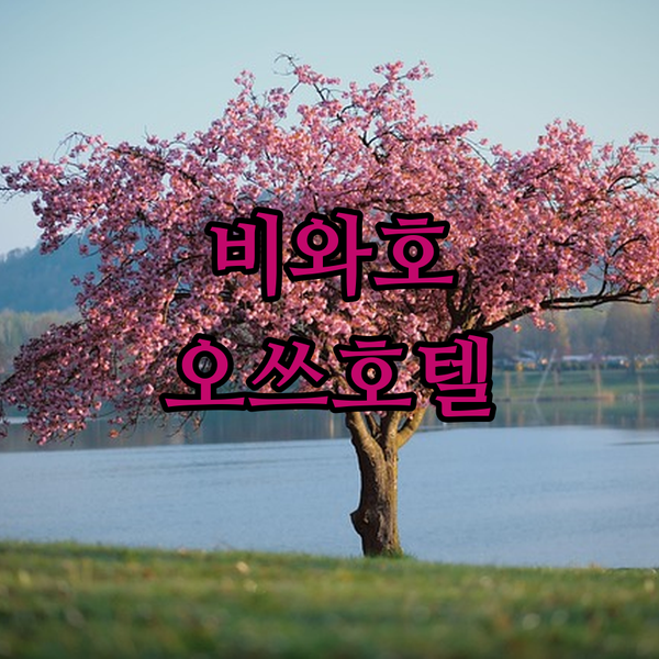 레이크 비와 오쓰 프린스 호텔, 왜 한국인이 사랑할까? 현지인이 알려주는 매력 포인트!