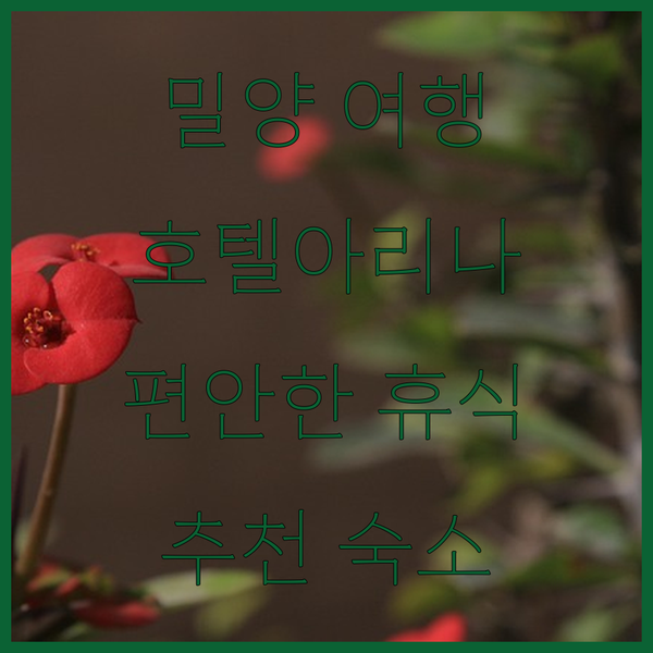 밀양 여행의 시작, 호텔아리나에서 편안한 휴식을 경험하세요!