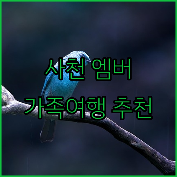 가족 여행객 추천! 사천 엠버호텔, 편안함과 추억을 동시에!