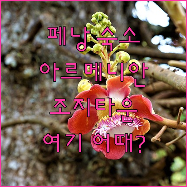 페낭 아르메니안 스트리트 헤리티지 호텔 숙박 후기! 조지타운 여행, 여기 어때?