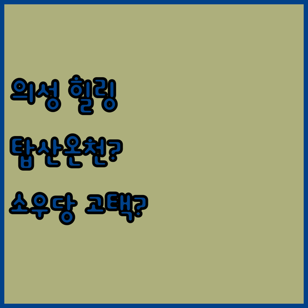의성 여행의 특별한 경험 탑산약수온천 vs 소우당 고택 어디에서 힐링할까?