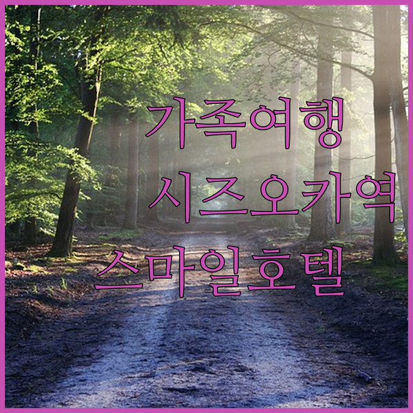 가족 여행객 필독 시즈오카 스마일 호텔 시즈오카역 도보 10분 후기